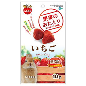 マルカン 果実のおたより いちご 10g フリーズドライ製法 うさぎ ハムスター モルモット 小動物