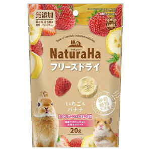 }J i`n t[YhC oii 20g @ۑ Fsgp  nX^[ bg 