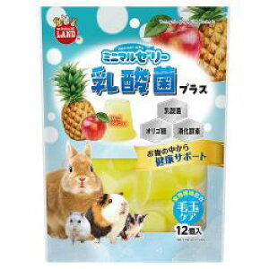 }J ~j}[[ _ۃvX 15g×12 ML-576  pC ыʃPA H@۔z 