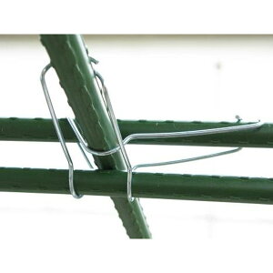 yx̘AɍœKzDAIM ؉NXoh 10{ pC13mm-16mmp