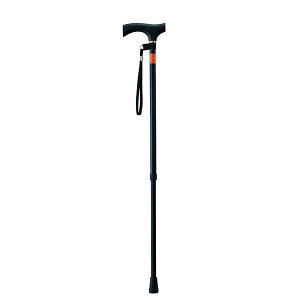 yKa쏊zWalking Stecky A~ sb` ubN E-234