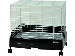 [OW]C[W[z[ G{ 60BK WS (C[XmRdl) C23