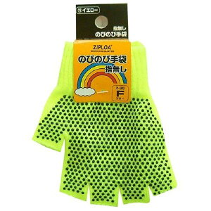 [R[RXM] GLADIATOR ̂т̂ю w؂ Z-65CG[F