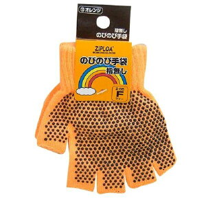 [R[RXM] GLADIATOR ̂т̂ю w؂ Z-65IWF