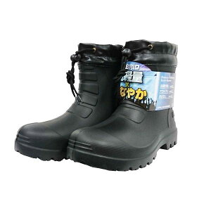 [R[RXM] WvA nCubhEVAV[gu[c C HB-891 ubNLL