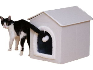 y[J[zsf ybgnEX Op STCYWH