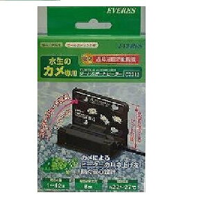 EVERESiG@Xj ̃Jp ^-gI-gq-^- C2212