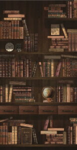 y[J[ztlX ̂ ubNVFt M5372