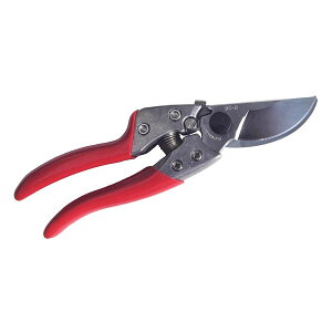 AXR[|[V uCGXGCg VS-8Z