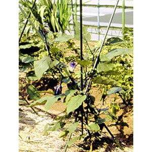 rj[ Orx 7mm×120cm 3{Zbg C-8