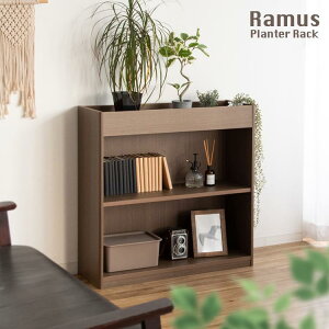 y[J[z{쏊 v^[bN Ramus([X)PS-750BR