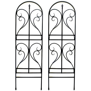 y[J[zACAgX@tBjA@2g@ubN@IF-FN7950-2P-BLK