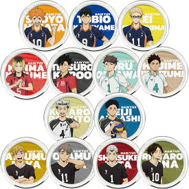 『ハイキュー!!』 第7弾 クリアプレート YA (日向翔陽) YB (影山飛雄) YC (月島蛍) YD (孤爪研磨) YE (黒尾鉄朗) YF (及川徹) YG (岩泉一) YH (木兎光太郎) YI (赤葦京治) YJ (宮　侑) YK (宮　治) YL (北　信介) YM (角名　倫太郎) 公認グッズ