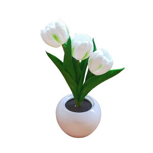 ���}�� �t�����[ ���͋C �i�C�g���C�g �Ɩ� �C���A�b�v �`���[���b�v���C�g �� ���� �Q�� �d�r�� USB���d�� USB�[�d�� �a���� �v���[���g �����v �M�t�g �ޏ� ������ �Q�� �x�b�g���C�g �C���e