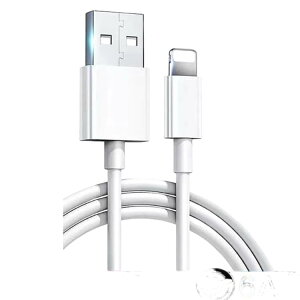 �y10�{�Z�b�g�zusb�P�[�u�� Android Type-C iPhone�Ή� usb type-c 100W 6A �}�� �[�d�P�[�u�� 1m 1.5m type-c�P�[�u�� �^�C�vc �[�d�� usb typec �P�[�u�� �f�[�^�]�� iPhone15 oppo ipad air5 mini6 iPad Pro11 12.9 Macbook Androi