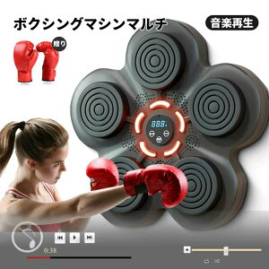 ボクシング音楽トレーニングマシン、壁掛けボクシングマシン 
