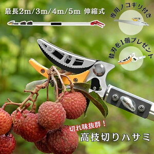 �y���֐n�t���z ���}�؂�o�T�~ �L�k �y�� ���� �؂ꖡ���Q �����} �̂�����t�� 2m 3m 4m 5m ���}�؂� �o�T�~ ���}�؂��� ���}�؂�m�R�M�� ����΂��� ���}�؂�o�T�~ ����Ă��΂��݋��� �m