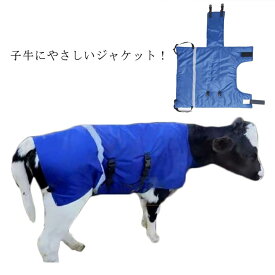 牛 仔牛 防寒対策 子牛 極厚 首サポート付 推奨月齢生後0 2ヶ月 子牛 ジャケット コ