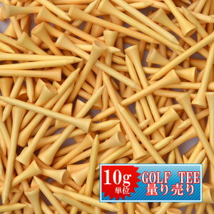 XIWi EbheB[ [ 10gP ʂ蔄 ]