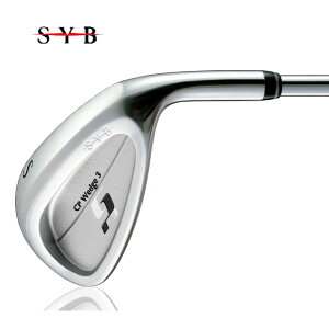 yJX^Ήz SYB TCu CP wedge3 CPEFbW3