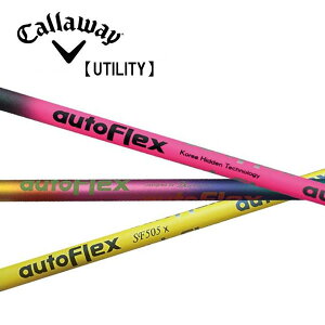 LEFC/Callaway [eBeB X[uVtg Auto Flex I[gtbNX IRON ACA