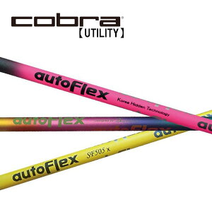 Ru/Cobra [eBeB X[uVtg Auto Flex I[gtbNX IRON ACA