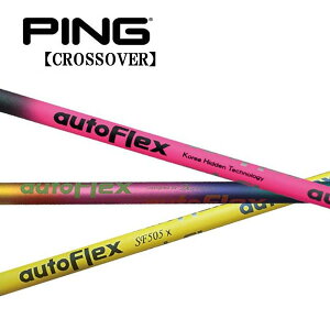 s/PING i NXI[o[ ACA^[eBeB X[uVtg Auto Flex I[gtbNX IRON ACA