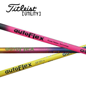 ^CgXg/Titleist [eBeB X[uVtg Auto Flex I[gtbNX IRON ACA