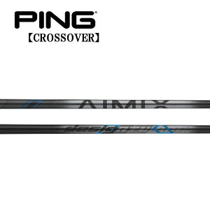 s/PING i NXI[o[ ACA^[eBeB X[uVtg DesignTuning fUC`[jO AIMIX IRON@AC~bNX ACA