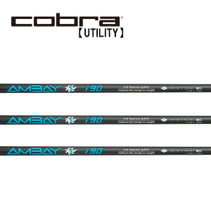 Ru/Cobra [eBeB X[uVtg COMPOSITE TECHNO R|WbgeNm AMBAY IRON i90AoC ACA i90