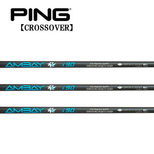 s/PING i NXI[o[ ACA^[eBeB X[uVtg COMPOSITE TECHNO R|WbgeNm AMBAY IRON i90 AoC ACA i90