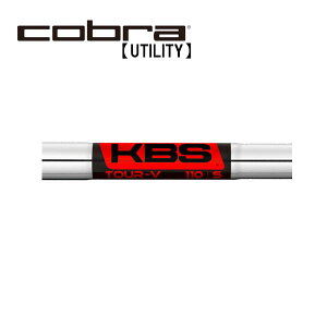 Ru/Cobra [eBeB X[uVtg KBS TOUR-V