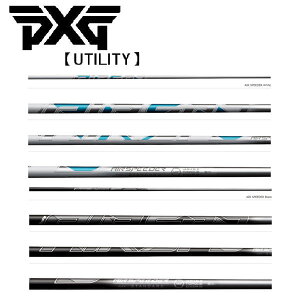 PXG [eBeB X[uVtg FUJIKURA tWN@Air Speeder Iron