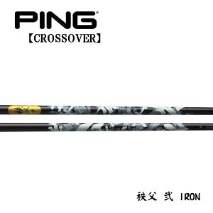 s/PING i NXI[o[ ACA^[eBeB X[uVtg GRAPHITE DESIGN Ot@CgfUC@ (ZJh)@IRON