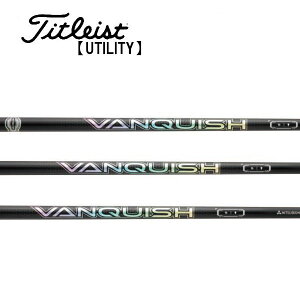 ^CgXg/Titleist [eBeB X[uVtg OHP~J VANQUISH Iron @LbV ACA