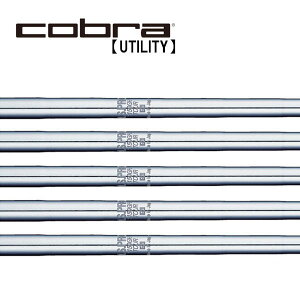 Ru/Cobra [eBeB X[uVtg {Vtg N.S.PRO 1150GH TOUR