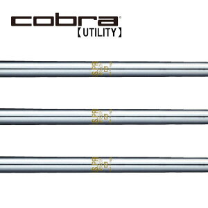 Ru/Cobra [eBeB X[uVtg {Vtg N.S.PRO 850GH