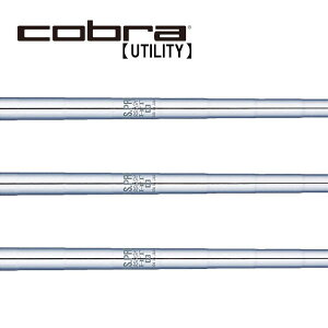 Ru/Cobra [eBeB X[uVtg {Vtg N.S.PRO 950GH HT