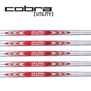 Ru/Cobra [eBeB X[uVtg {Vtg N.S.PRO MODUS3 TOUR120