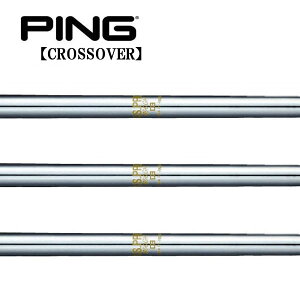 s/PING i NXI[o[ ACA^[eBeB X[uVtg {Vtg N.S.PRO 850GH