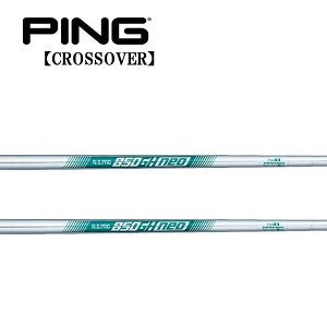 s/PING i NXI[o[ ACA^[eBeB X[uVtg {Vtg N.S.PRO 850GH neo