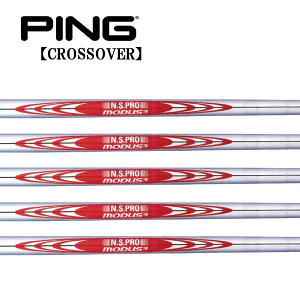 s/PING i NXI[o[ ACA^[eBeB X[uVtg {Vtg N.S.PRO MODUS3 TOUR120