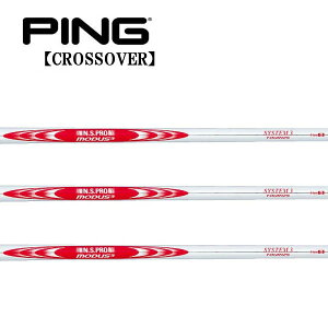 s/PING i NXI[o[ ACA^[eBeB X[uVtg {Vtg N.S.PRO MODUS3 SYSTEM3 TOUR 125