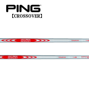 s/PING i NXI[o[ ACA^[eBeB X[uVtg {Vtg N.S.PRO MODUS3 TOUR 110 [_X X[ cA[