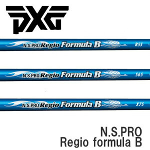 PXG X[uVtg{Vtg N.S.PRO Regio Formula B -WI tH[~ B-