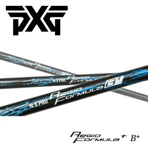 PXG X[uVtg{Vtg N.S.PRO Regio Formula B+ -WI tH[~ B+-