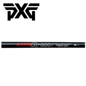 PXG X[uVtg{Vtg N.S.PRO GT600 DRIVER