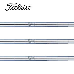 ^CgXg/Titleist [eBeB X[uVtg {Vtg N.S.PRO 950GH HT