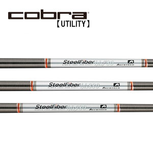 Ru/Cobra [eBeB X[uVtg TRUE TEMPER gD[ep[AEROTECH GAebNSTEEL FIBER X`[t@Co[ HLS GC`GGX