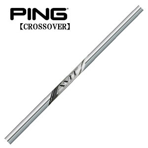 s/PING i NXI[o[ ACA^[eBeB X[uVtg TRUE TEMPER gD[ep[ V AMT SILVER AMT Vo[